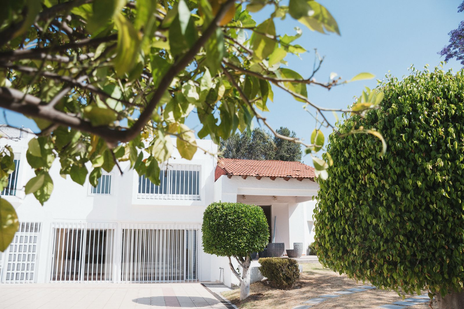 Jardín / Exterior - Clínica San Agustín